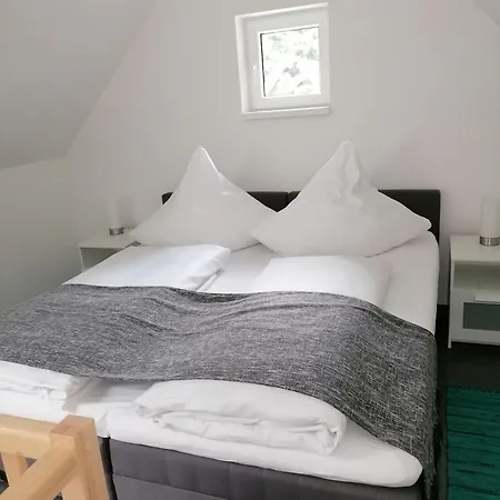 Dom wakacyjny Harz-tiny Dan291 *